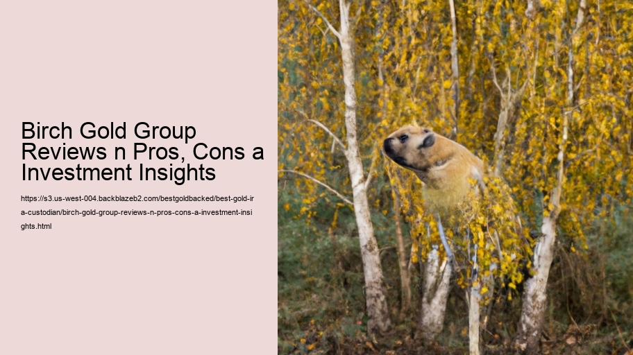 Birch Gold Group Reviews n Pros, Cons a Investment Insights