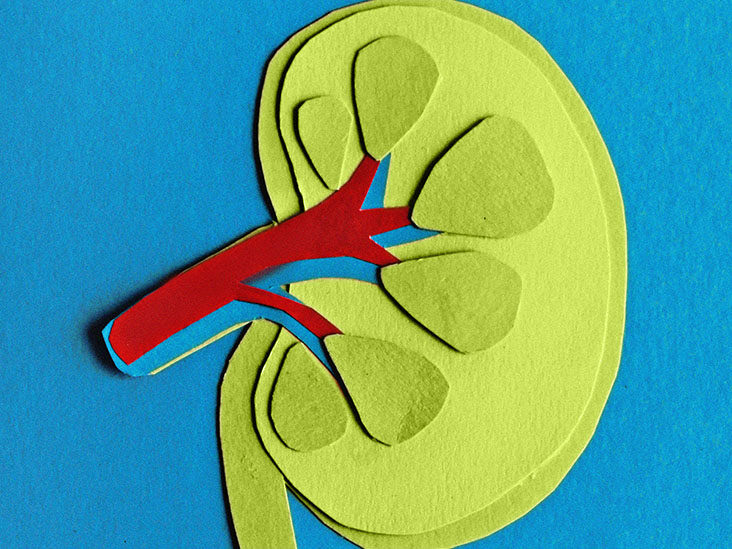 does the kidney disease solution really work