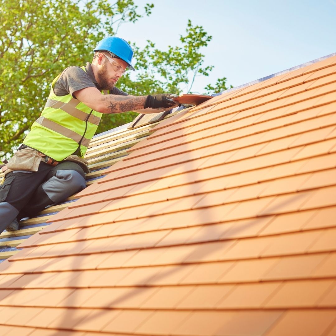 Do they provide expert guidance for roof material choices?