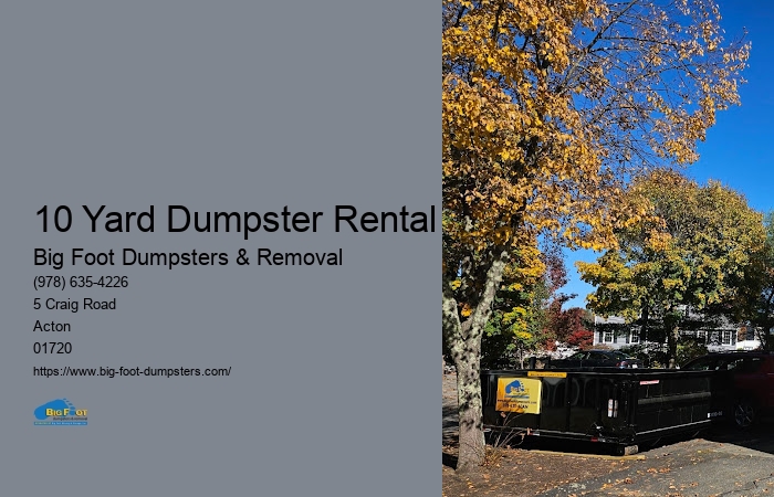 daily dumpster rental