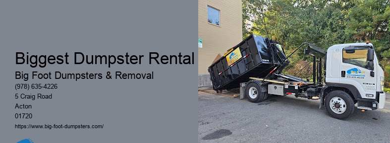 small dumpster rental cost