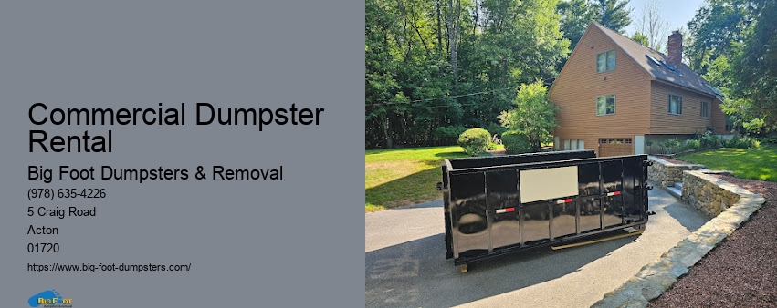 big dumpster rental cost