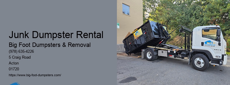 big dumpster rental cost