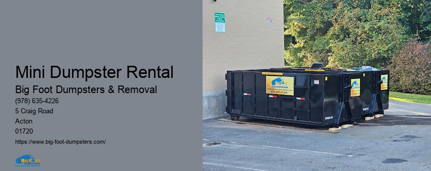 big dumpster rental