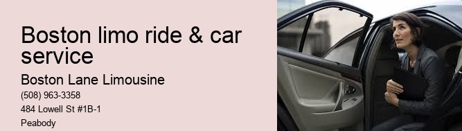 Professional Chauffeurs