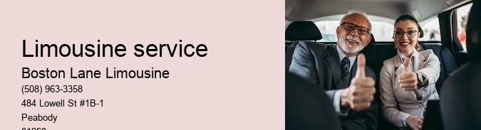 7 Passenger Limo