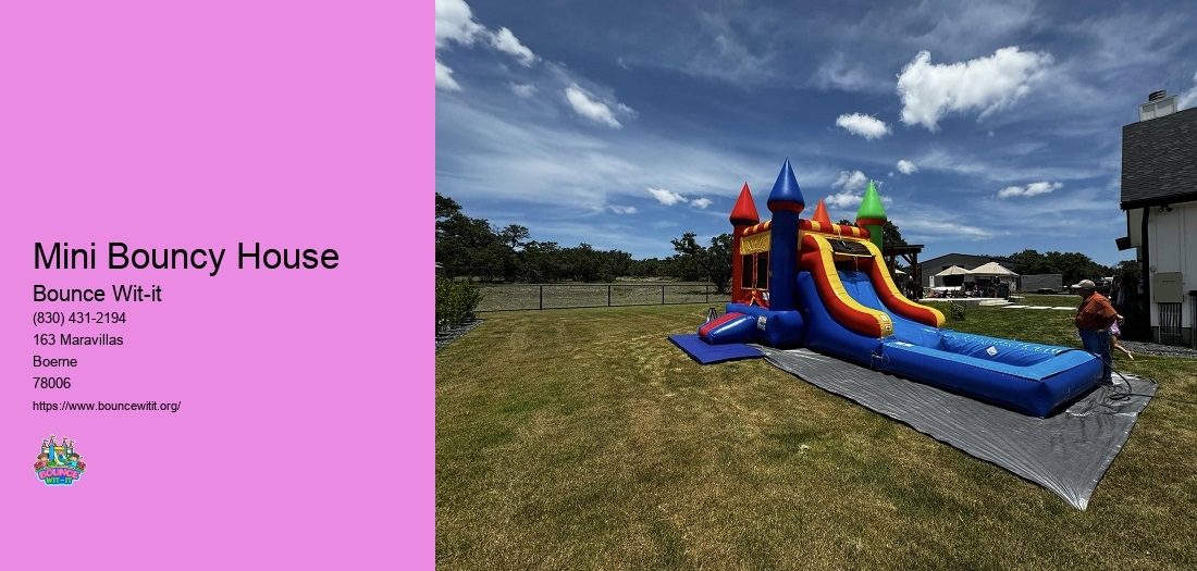 Mini Bouncy House