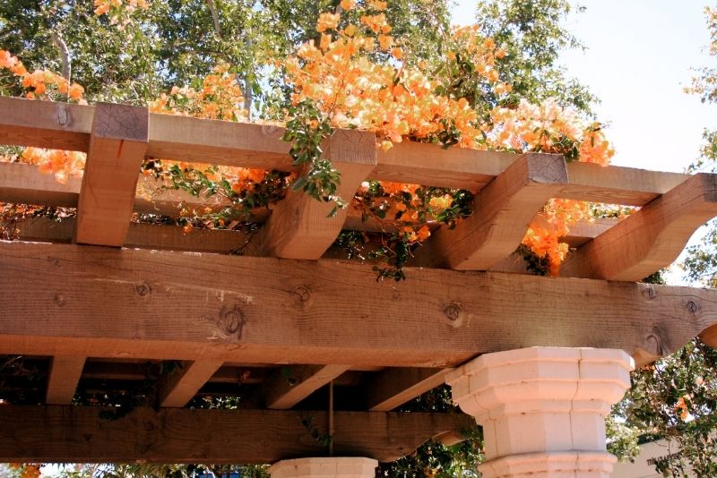 buy timber gazebo