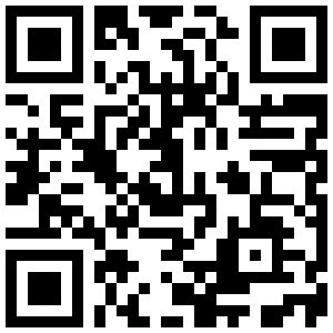 Scan for Festival Details