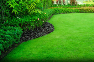 Chain Store Property Services Destin Parasailing