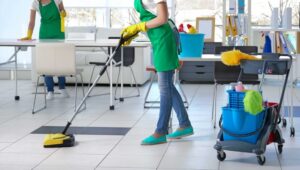 Chain Store Property Services Marianna Yost