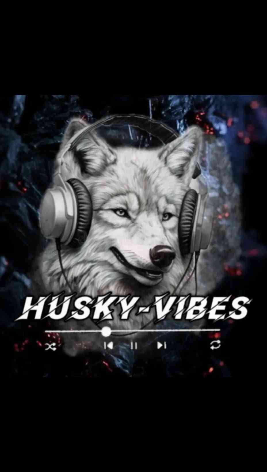 Avatar de husky-vibes