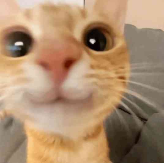 Avatar de uraturaul1