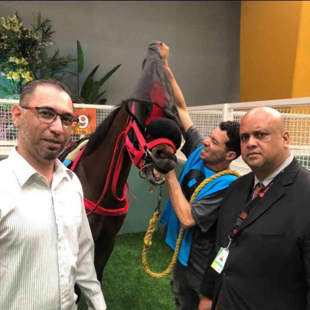 Avatar de tonoelhipico
