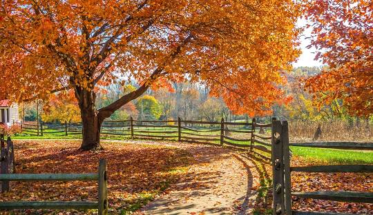 New Jersey Reaches Record Population, Maintaining Its Status as the Densest U.S. State