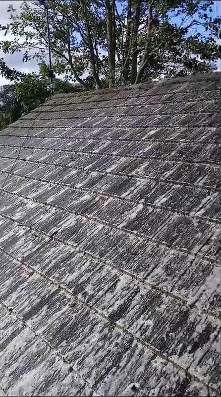 Vehicle Emission Monitoring Programs