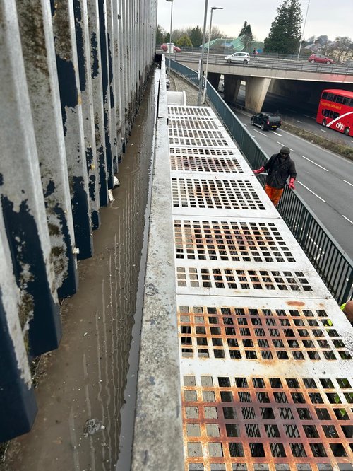 Moss on New Roofs: What It Means