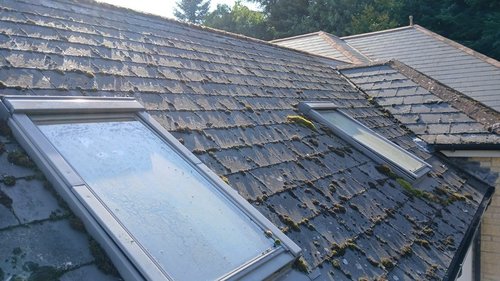 Environmental Protection Compliance