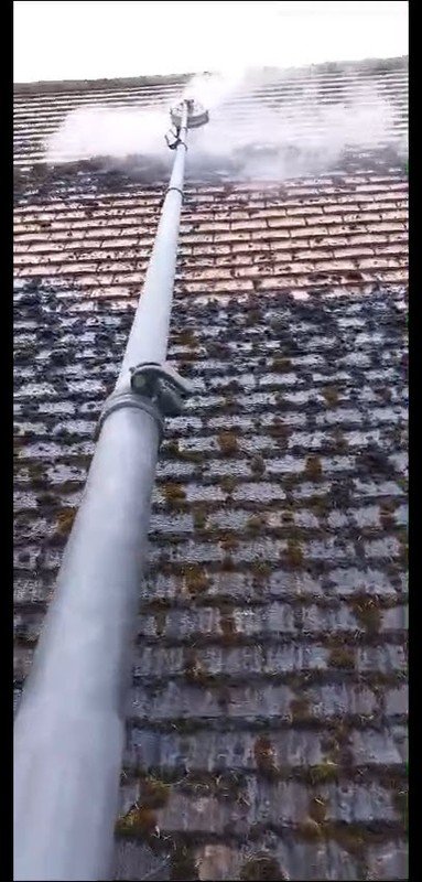 Mold Prevention Maintenance Programs