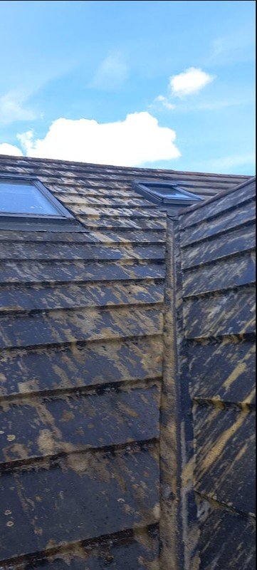 Soft Wash Safety Protocols