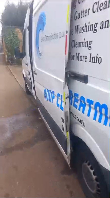 When Moss Hides Serious Damage