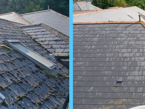 Emergency Assessment & Action Plans