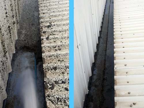 Thatch Roof Moss & Algae Treatment