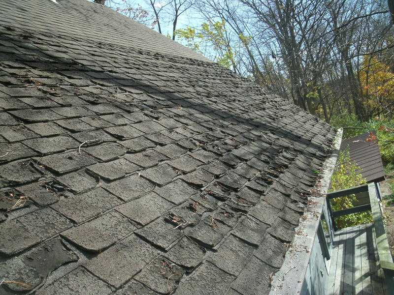5 Signs Your Roof Might Need a Replacement Soon