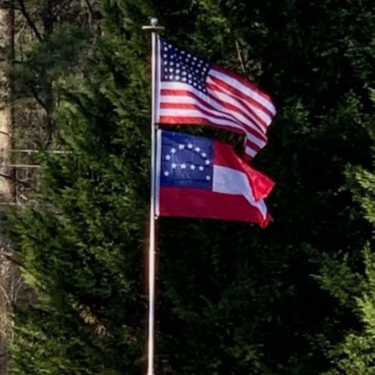Ultimate Flags - Confederacy Flag