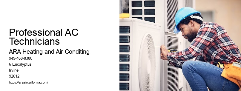 Professional AC Technicians