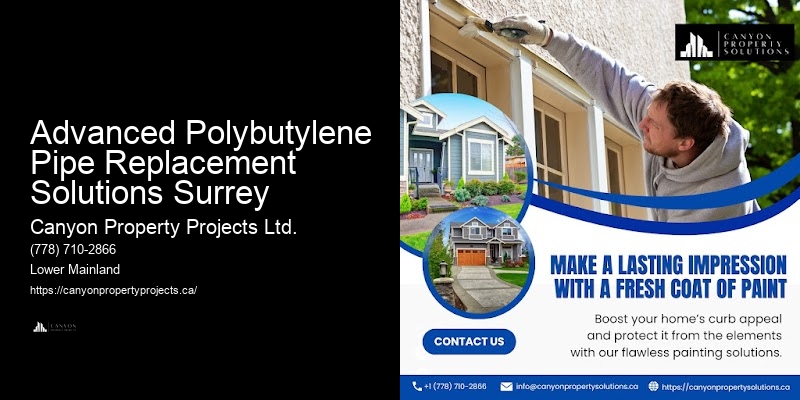 Polybutylene Pipe Replacement Project Advanced Polybutylene Pipe Replacement Solutions Surrey