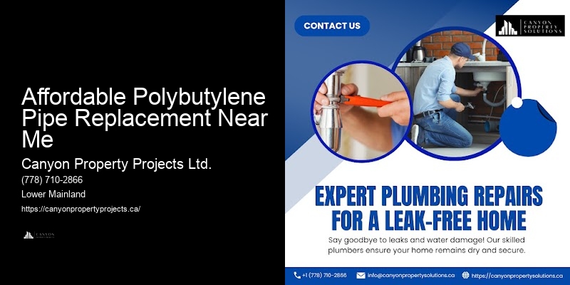 Local Specialists in Polybutylene Pipe Replacement Affordable Polybutylene Pipe Replacement Near Me