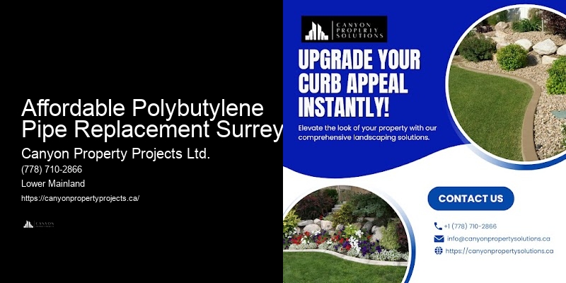 Affordable Polybutylene Pipe Replacement Surrey Plumbing Repair Specialists