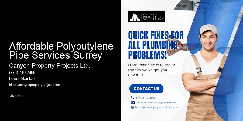 Polybutylene Pipe Replacement Services Affordable Polybutylene Pipe Services Surrey