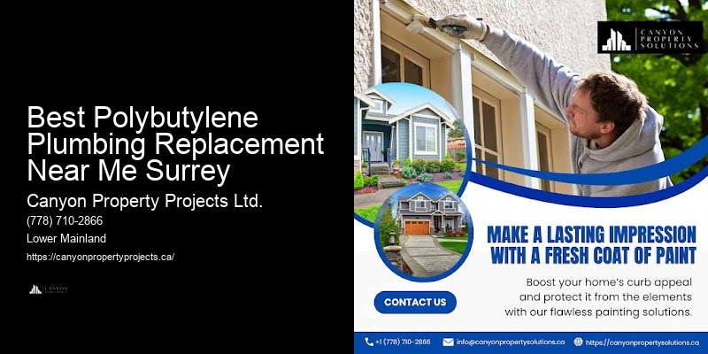 Best Polybutylene Plumbing Replacement Near Me Surrey Plumbing Repair Specialists