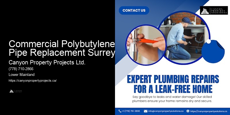 Affordable Polybutylene Pipe Replacement Commercial Polybutylene Pipe Replacement Surrey