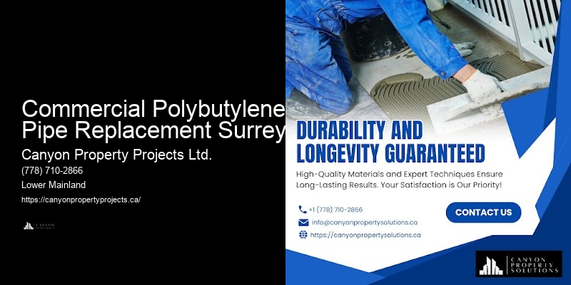 Local Polybutylene Plumbing Experts Commercial Polybutylene Pipe Replacement Surrey