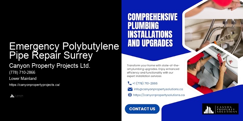 Licensed Polybutylene Pipe Installers Emergency Polybutylene Pipe Repair Surrey
