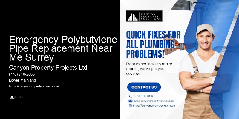 Complete Polybutylene Pipe Replacement Emergency Polybutylene Pipe Replacement Near Me Surrey