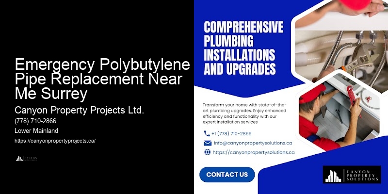 Polybutylene Pipe Solutions Emergency Polybutylene Pipe Replacement Near Me Surrey