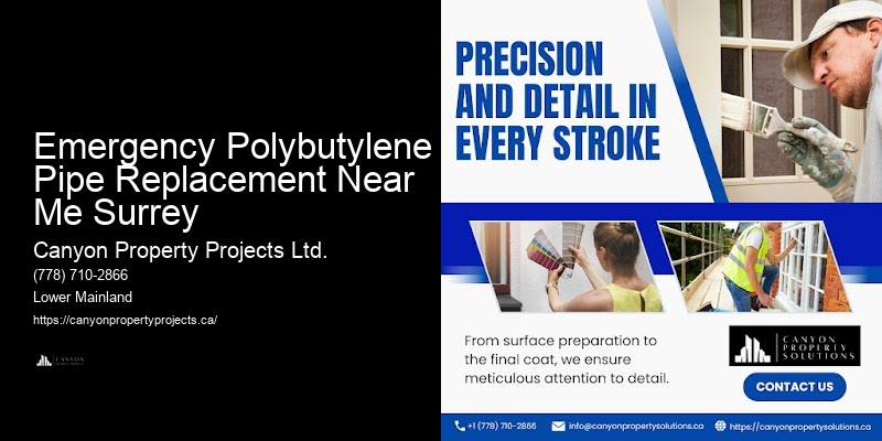 Polybutylene Pipe Servicing Emergency Polybutylene Pipe Replacement Near Me Surrey