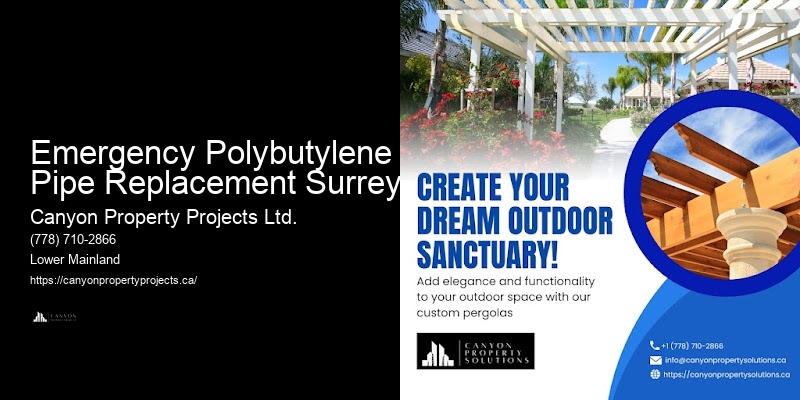 Detailed Polybutylene Replacement Service Emergency Polybutylene Pipe Replacement Surrey