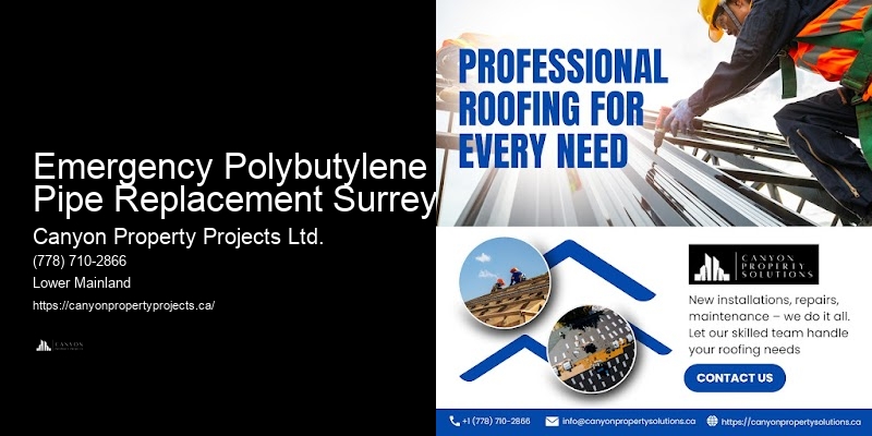 Polybutylene Pipe Preventive Maintenance Emergency Polybutylene Pipe Replacement Surrey