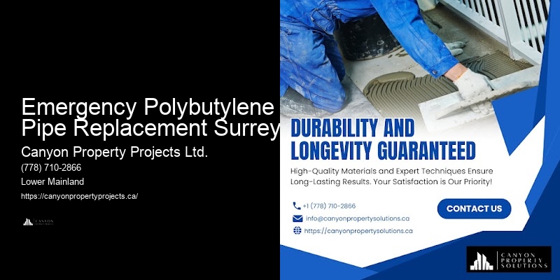 Polybutylene Pipe Maintenance Emergency Polybutylene Pipe Replacement Surrey