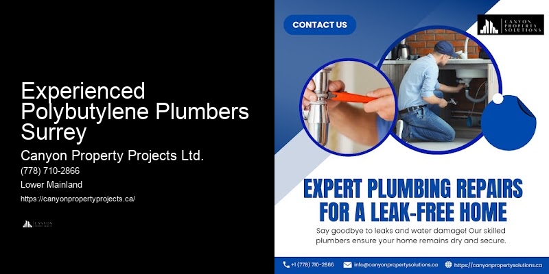 Preventative Maintenance for Polybutylene Pipes Experienced Polybutylene Plumbers Surrey