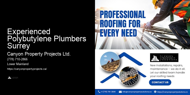 Best Practices in Polybutylene Replacement Experienced Polybutylene Plumbers Surrey