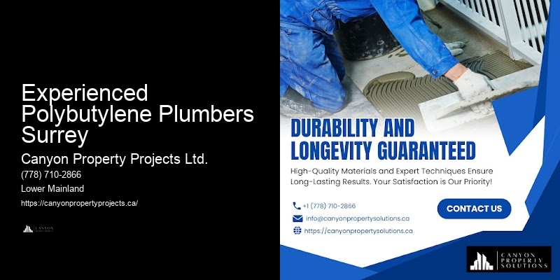 Polybutylene Plumbing Issues Experienced Polybutylene Plumbers Surrey