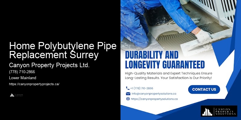 Expert Polybutylene Plumbing Home Polybutylene Pipe Replacement Surrey