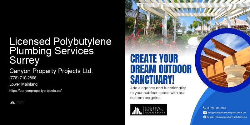 Polybutylene Pipe Infrastructure Licensed Polybutylene Plumbing Services Surrey