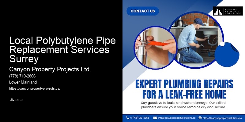 Affordable Polybutylene Pipe Replacement Near Me